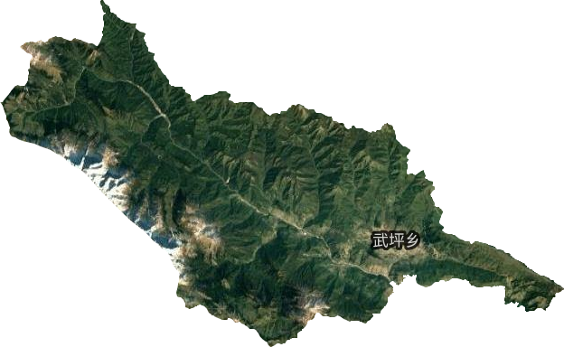 武坪乡卫星图