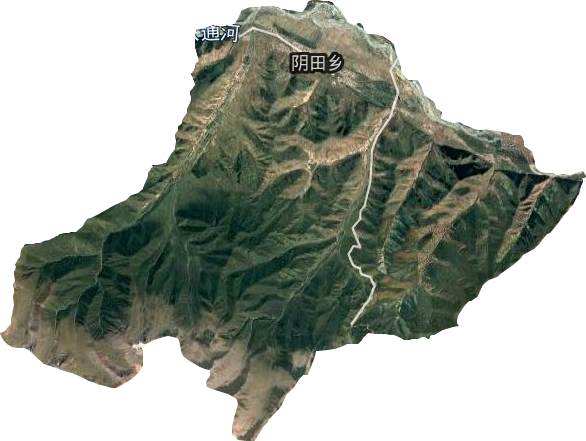 阴田乡卫星图