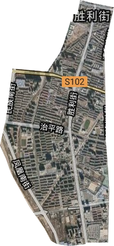胜利街街道卫星图