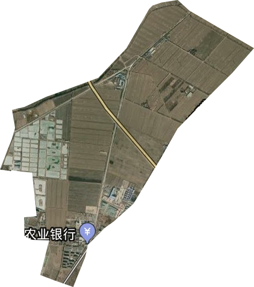 宁夏原种场卫星图