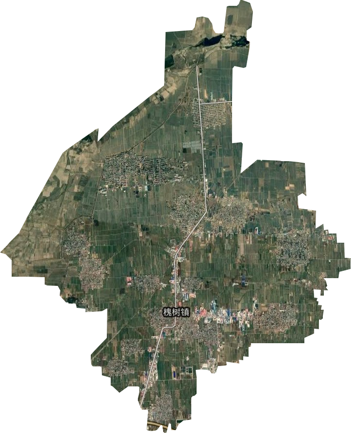 槐树镇卫星图