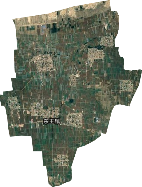 东王镇卫星图