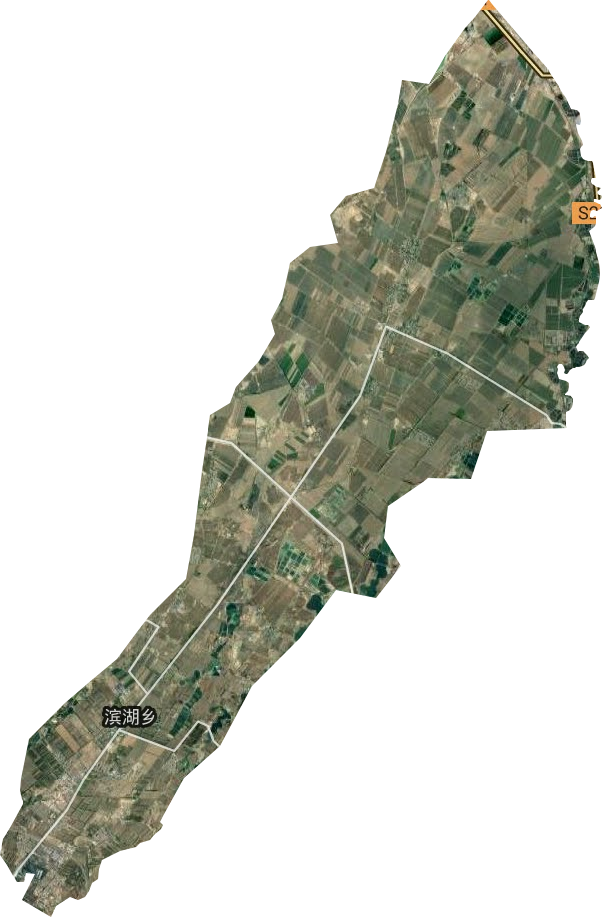 滨湖镇卫星图