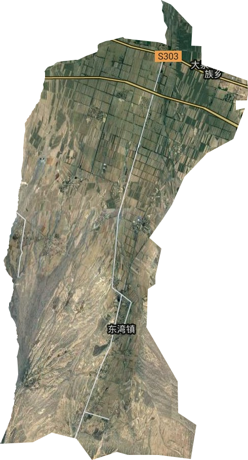 东湾镇卫星图