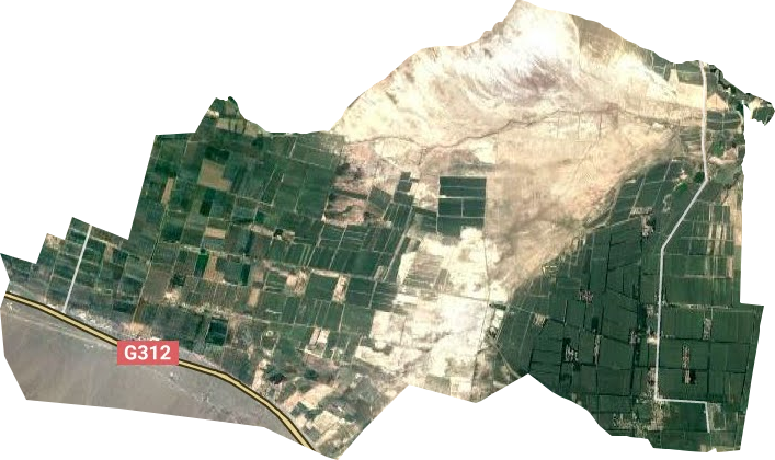 阿合其农场卫星图