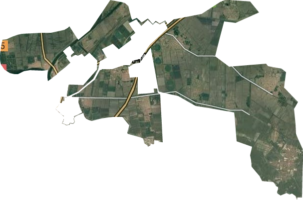 汉沽管理区汉丰镇卫星图