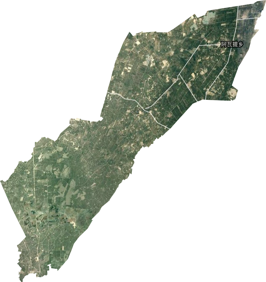 阿瓦提乡卫星图