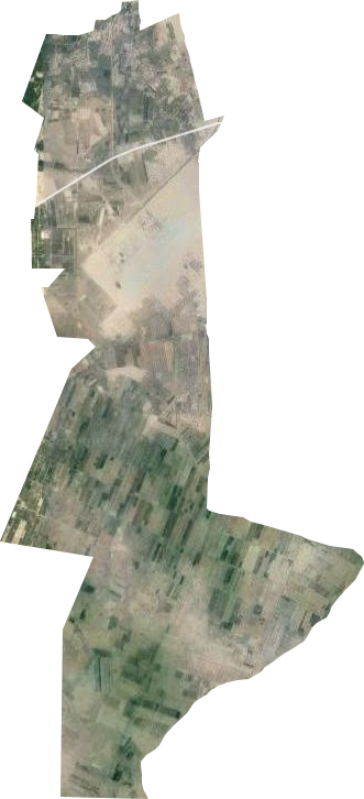 巴州阿瓦提农场卫星图