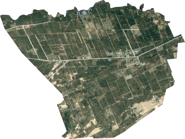 巴州沙依东园艺场卫星图
