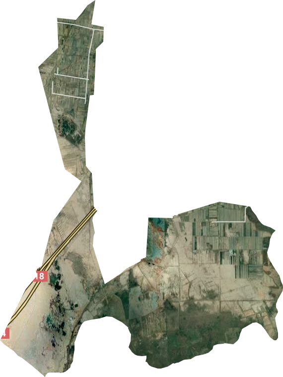王家庄牧场卫星图