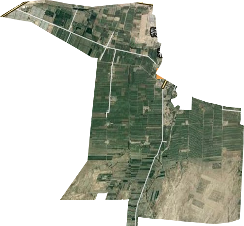 清水河农场卫星图