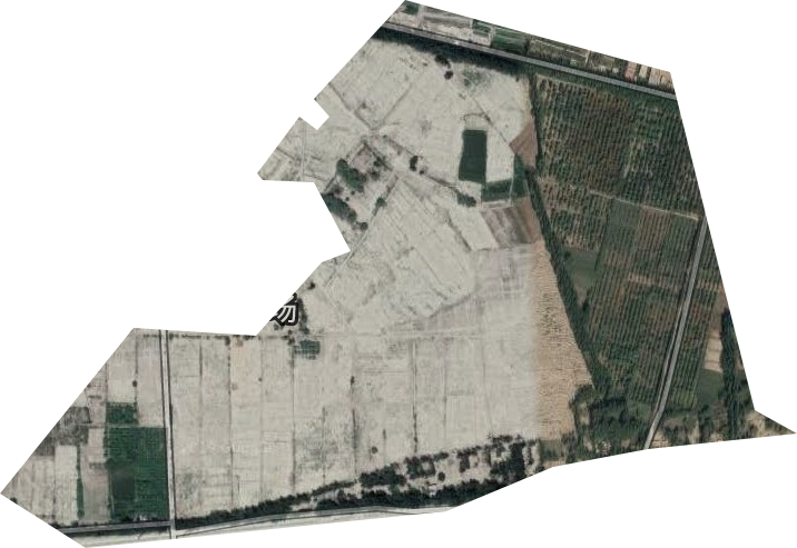 莎车县蚕种场卫星图