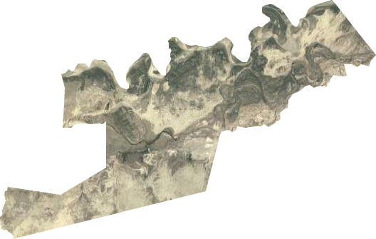 胡杨林场卫星图