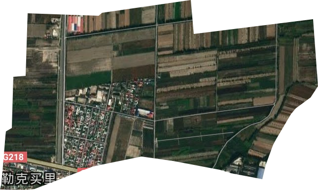 伊犁州农业良种繁育中心卫星图