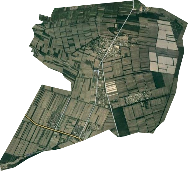 多浪农场卫星图