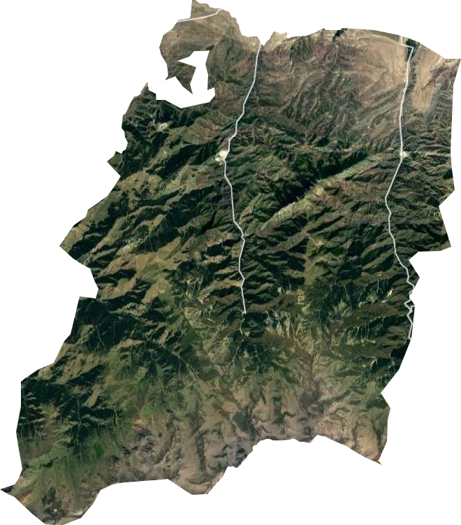 山区林场卫星图