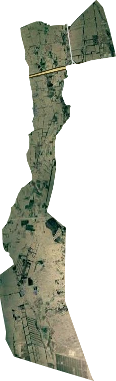 莫乎尔牧场卫星图