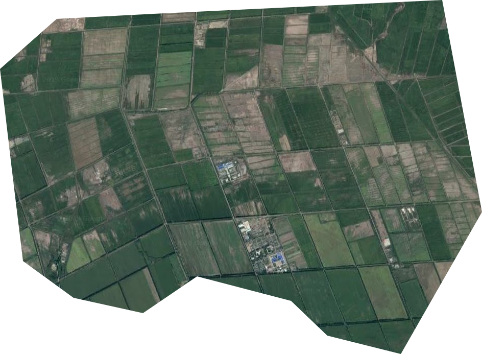 公安农场卫星图