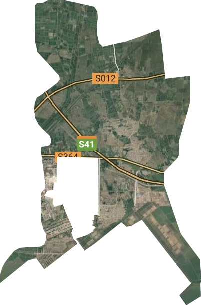 滨海镇卫星图