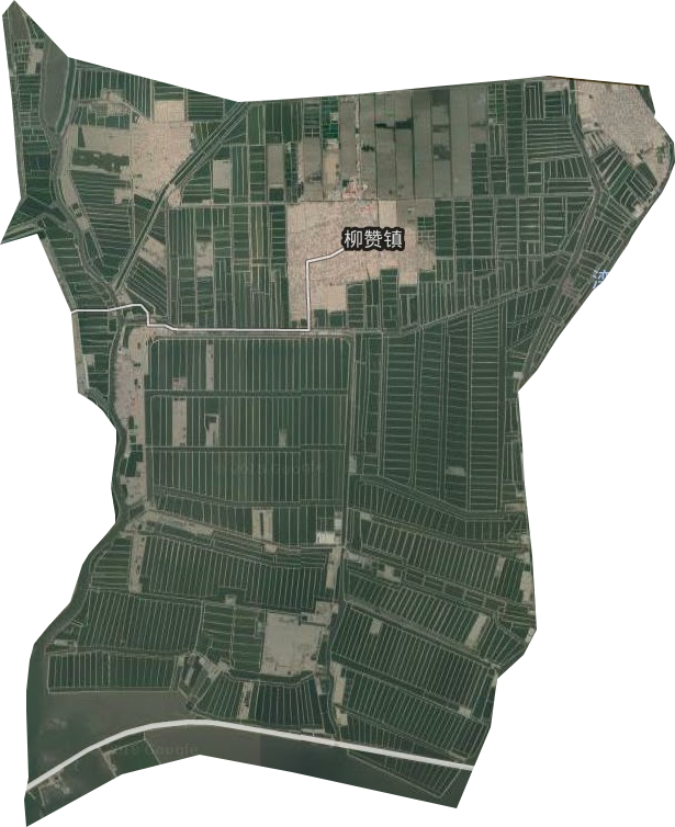 柳赞镇卫星图
