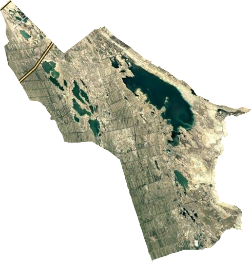 地区一农场卫星图