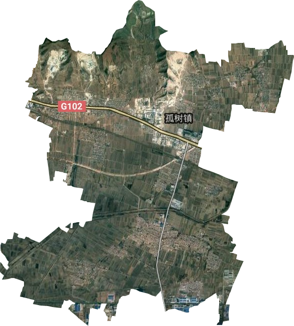 孤树镇卫星图