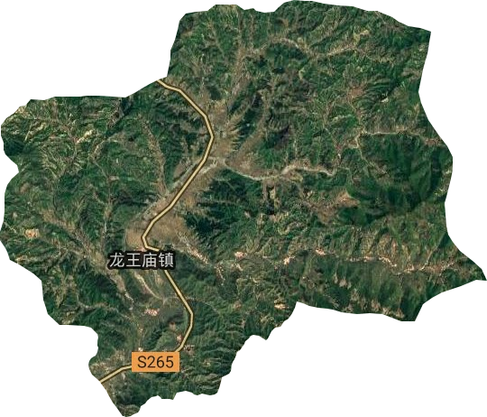 龙王庙乡卫星图