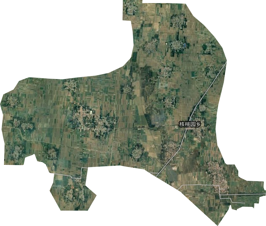核桃园乡卫星图