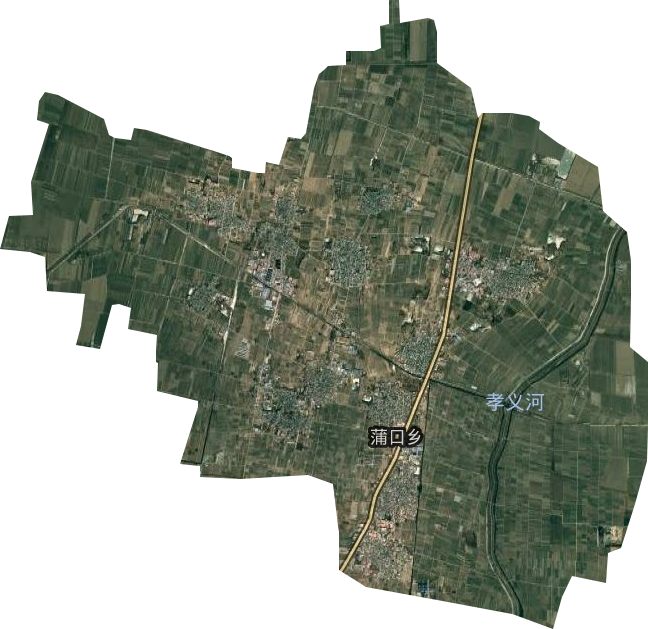 蒲口乡卫星图
