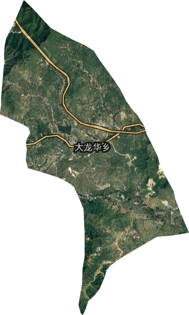 大龙华乡卫星图