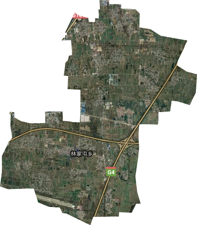 林家屯乡卫星图