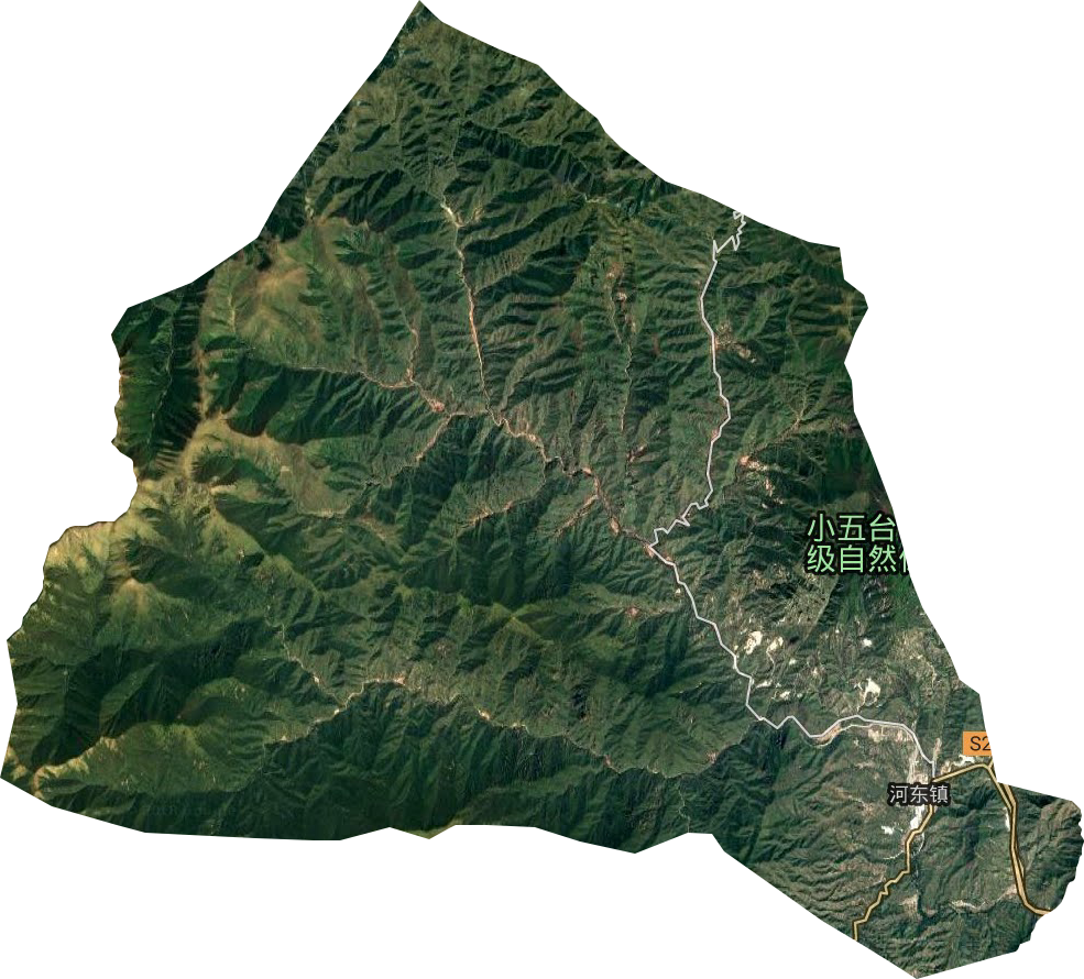 河东镇卫星图