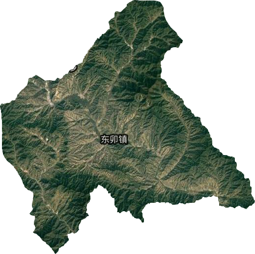 东卯镇卫星图