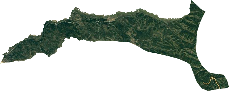 塞罕坝机械林场卫星图
