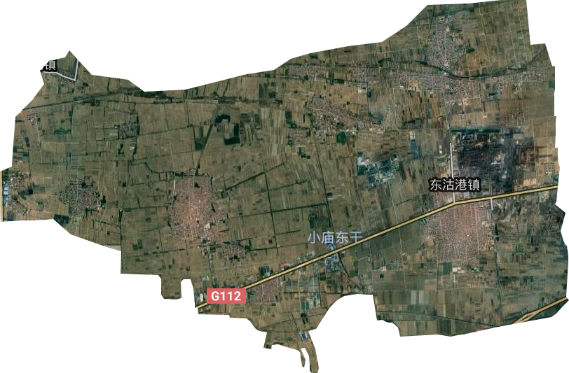 东沽港镇卫星图