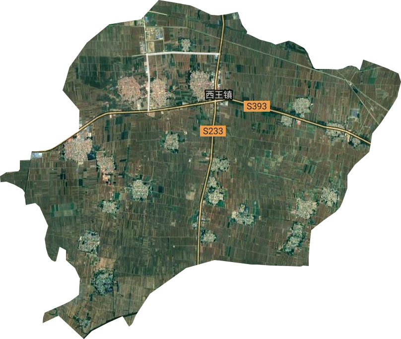 西王镇卫星图