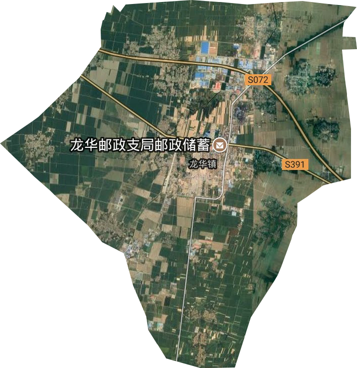 龙华镇卫星图