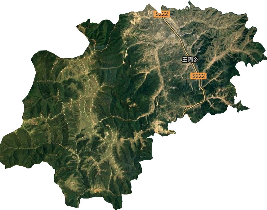 王陶乡卫星图