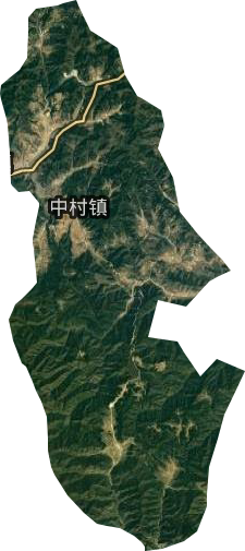 中村镇卫星图