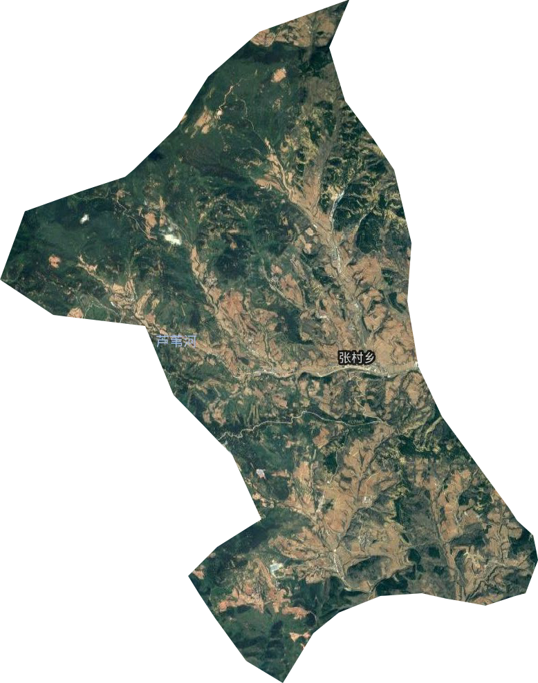 张村乡卫星图