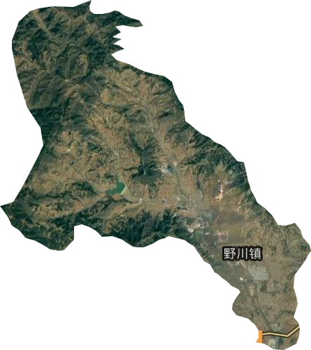 野川镇卫星图