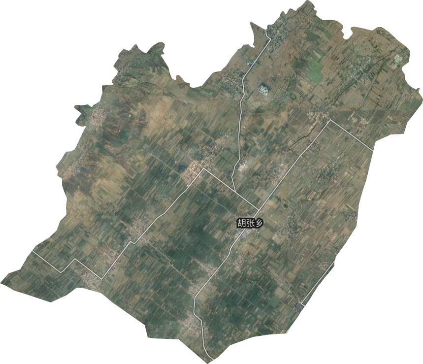 胡张乡卫星图