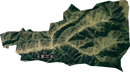 王家岔乡卫星图