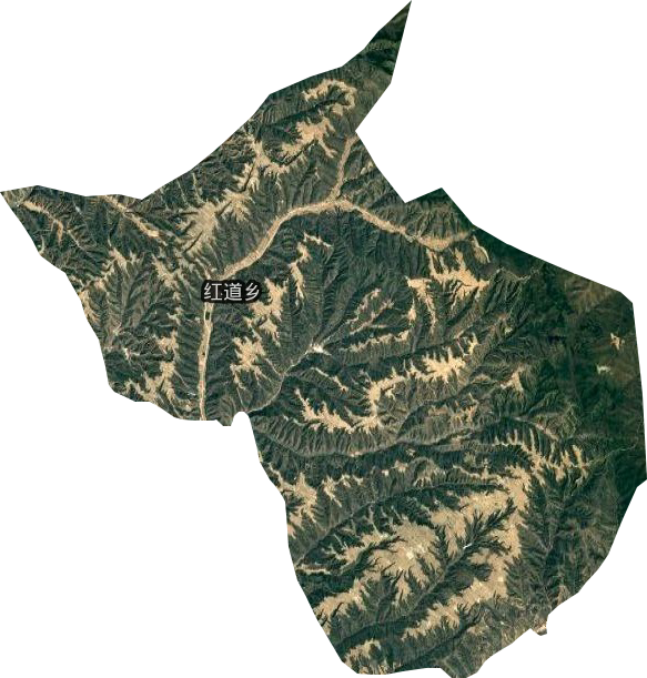 红道乡卫星图