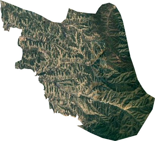 张子山乡卫星图