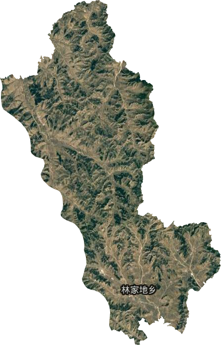 林家地乡卫星图