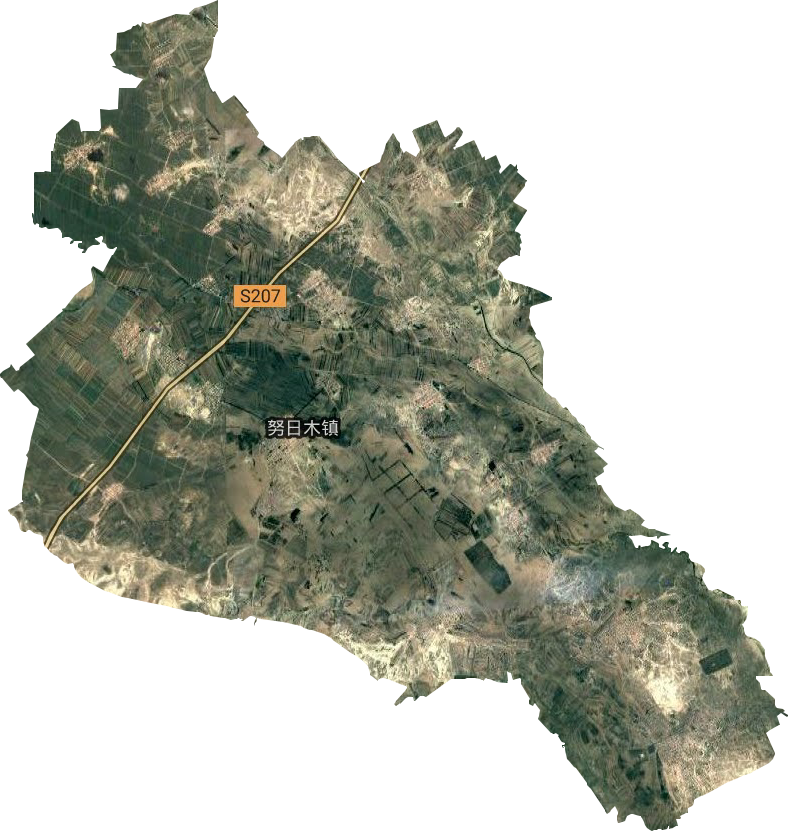 努日木镇卫星图