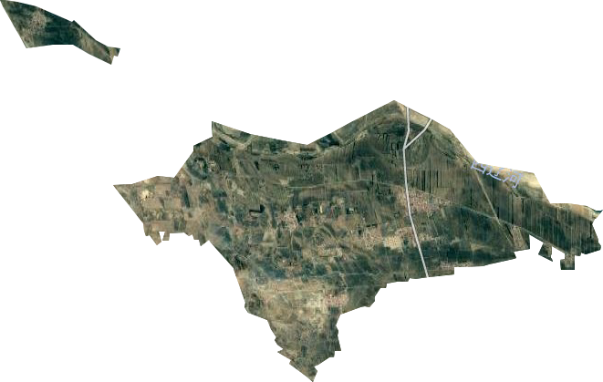 辽河农场卫星图