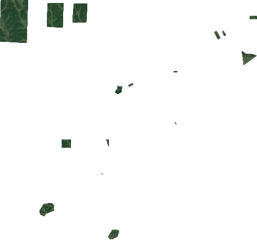 大杨树林业局卫星图