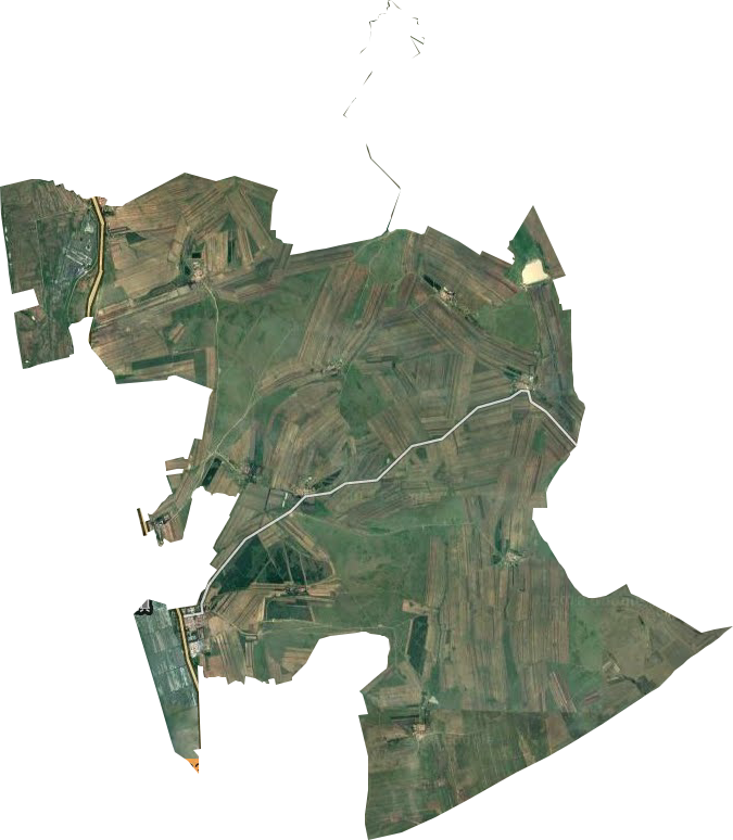 成吉思汗牧场卫星图